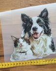Silityskuva, collie ja kissa