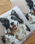 Silityskuva, collie ja kissa