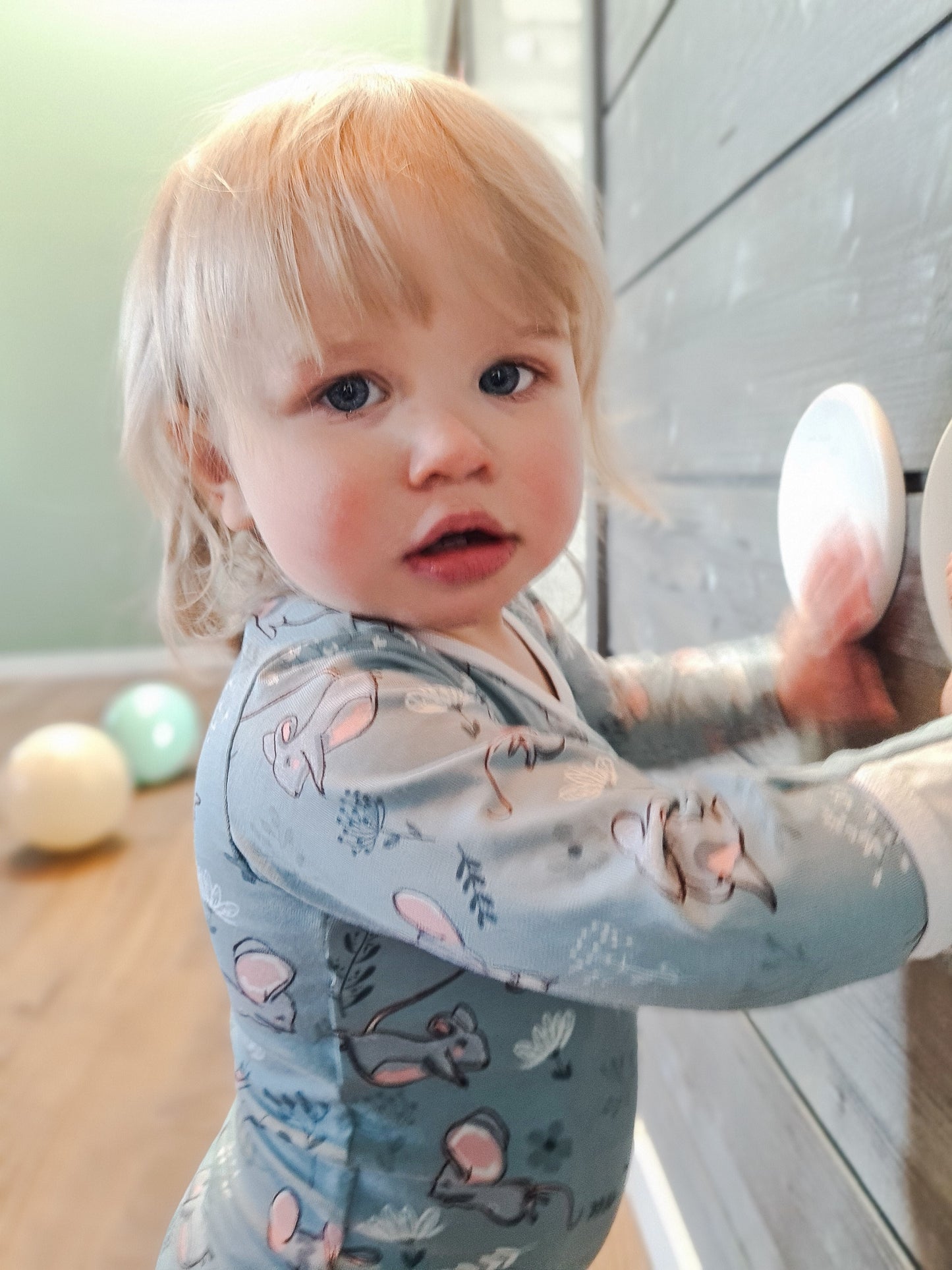 Hiirulaiset kietaisubody