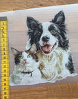 Silityskuva, collie ja kissa