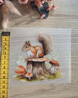Silityskuva, Orava kannolla