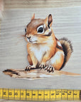 Silityskuva, orava