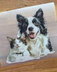Silityskuva, collie ja kissa