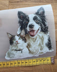 Silityskuva, collie ja kissa
