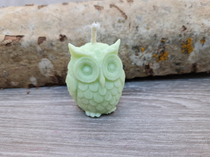 Owl candle