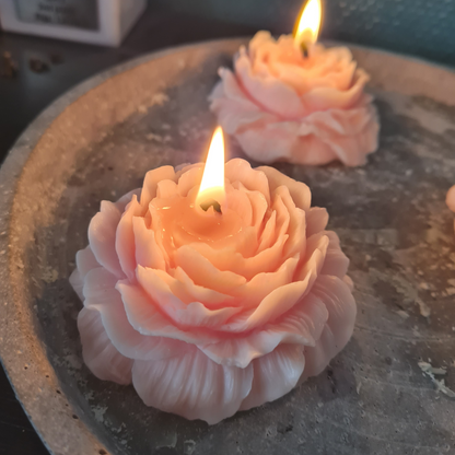 Peony candle